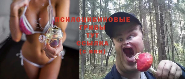 молекула духа Зеленодольск
