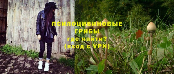 a pvp Зеленокумск