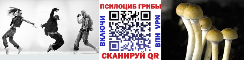 закладки  mega маркетплейс  Галлюциногенные грибы MAGIC MUSHROOMS  Усинск 
