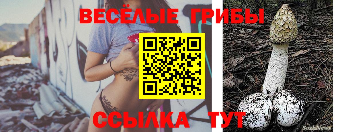 Усинск  Псилоцибиновые грибы GOLDEN TEACHER  купить   Вход с VPN 